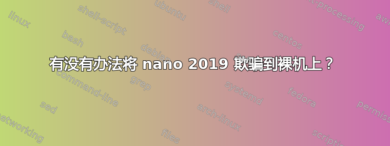 有没有办法将 nano 2019 欺骗到裸机上？