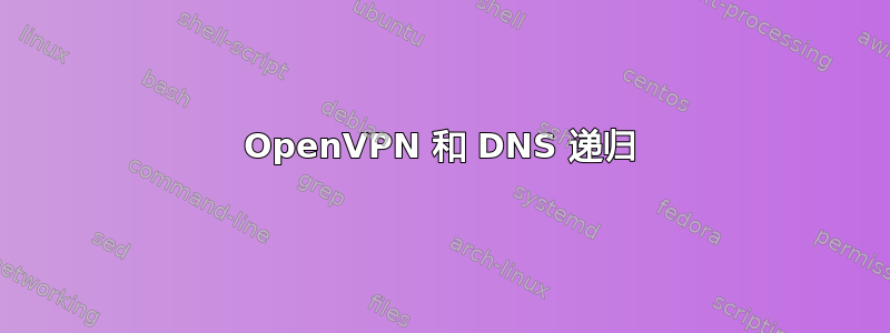 OpenVPN 和 DNS 递归