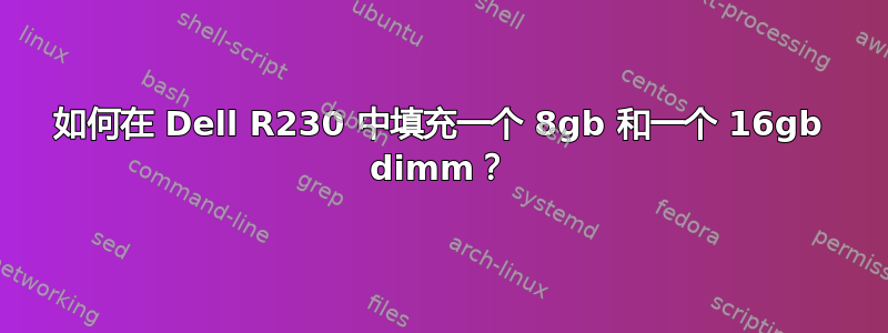 如何在 Dell R230 中填充一个 8gb 和一个 16gb dimm？