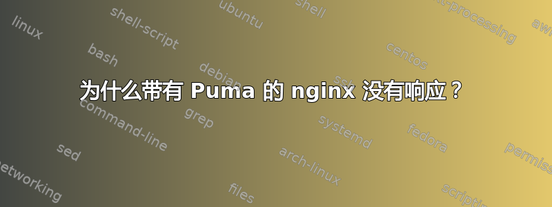 为什么带有 Puma 的 nginx 没有响应？