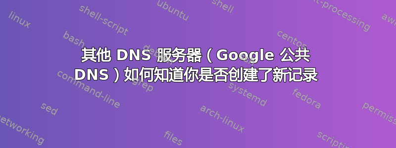 其他 DNS 服务器（Google 公共 DNS）如何知道你是否创建了新记录