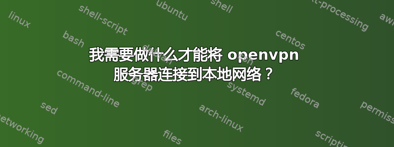 我需要做什么才能将 openvpn 服务器连接到本地网络？