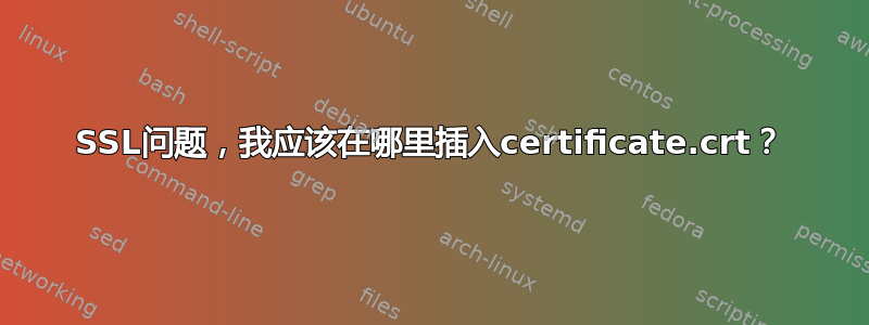 SSL问题，我应该在哪里插入certificate.crt？