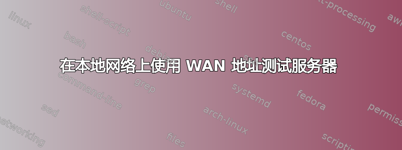 在本地网络上使用 WAN 地址测试服务器