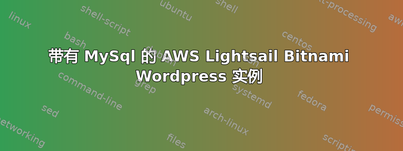 带有 MySql 的 AWS Lightsail Bitnami Wordpress 实例