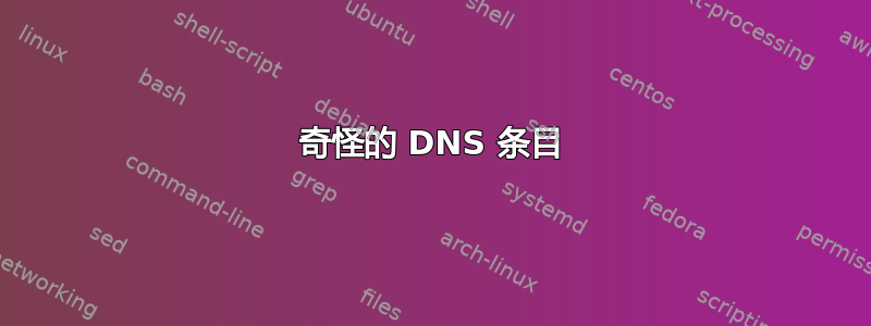 奇怪的 DNS 条目