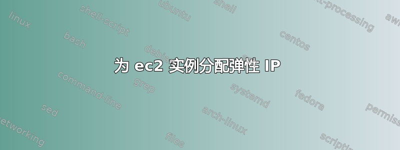 为 ec2 实例分配弹性 IP