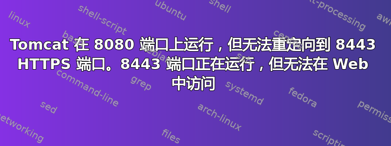 Tomcat 在 8080 端口上运行，但无法重定向到 8443 HTTPS 端口。8443 端口正在运行，但无法在 Web 中访问