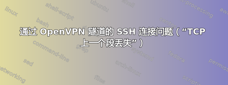 通过 OpenVPN 隧道的 SSH 连接问题（“TCP 上一个段丢失”）