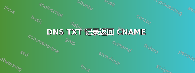 DNS TXT 记录返回 CNAME