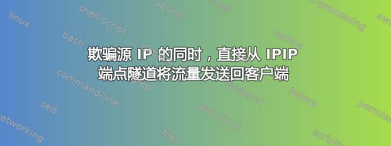 欺骗源 IP 的同时，直接从 IPIP 端点隧道将流量发送回客户端