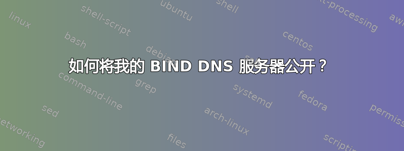 如何将我的 BIND DNS 服务器公开？