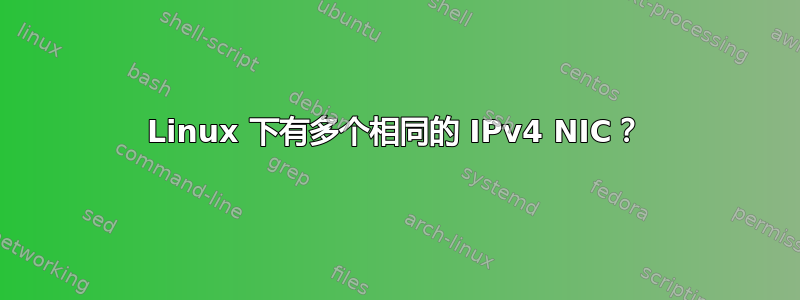 Linux 下有多个相同的 IPv4 NIC？