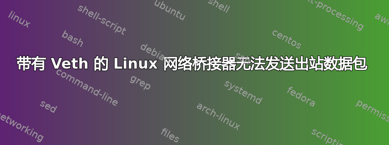 带有 Veth 的 Linux 网络桥接器无法发送出站数据包