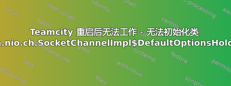 Teamcity 重启后无法工作 - 无法初始化类 sun.nio.ch.SocketChannelImpl$DefaultOptionsHolder