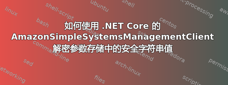 如何使用 .NET Core 的 AmazonSimpleSystemsManagementClient 解密参数存储中的安全字符串值