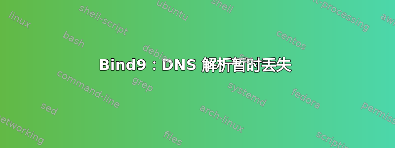 Bind9：DNS 解析暂时丢失