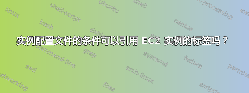 实例配置文件的条件可以引用 EC2 实例的标签吗？