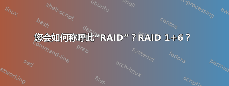 您会如何称呼此“RAID”？RAID 1+6？