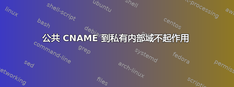 公共 CNAME 到私有内部域不起作用