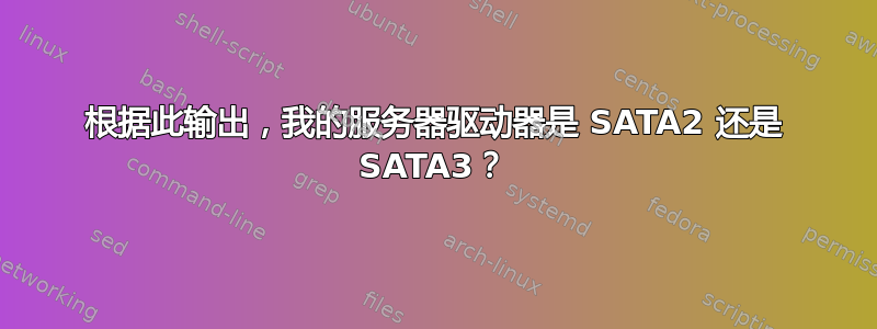 根据此输出，我的服务器驱动器是 SATA2 还是 SATA3？