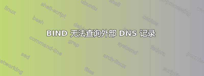 BIND 无法查询外部 DNS 记录