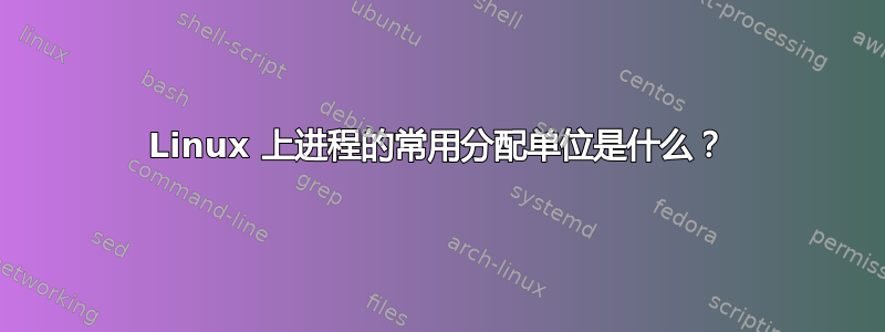 Linux 上进程的常用分配单位是什么？