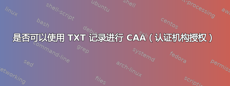 是否可以使用 TXT 记录进行 CAA（认证机构授权）