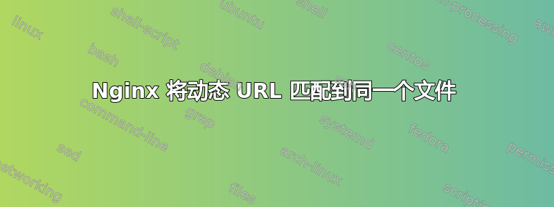 Nginx 将动态 URL 匹配到同一个文件