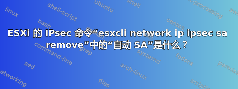 ESXi 的 IPsec 命令“esxcli network ip ipsec sa remove”中的“自动 SA”是什么？