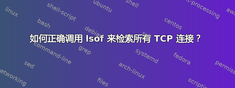 如何正确调用 lsof 来检索所有 TCP 连接？