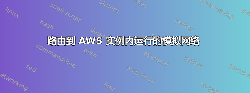 路由到 AWS 实例内运行的模拟网络