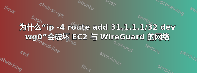 为什么“ip -4 route add 31.1.1.1/32 dev wg0”会破坏 EC2 与 WireGuard 的网络