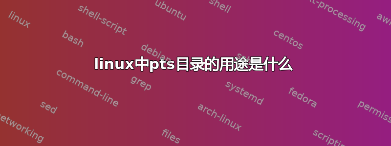 linux中pts目录的用途是什么