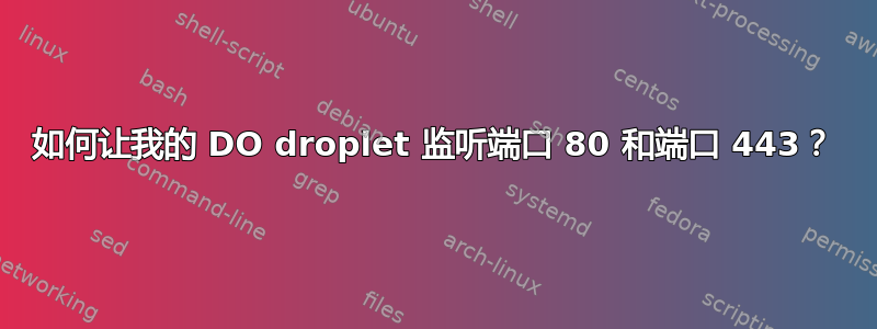 如何让我的 DO droplet 监听端口 80 和端口 443？