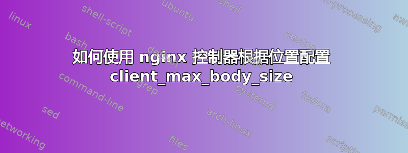 如何使用 nginx 控制器根据位置配置 client_max_body_size