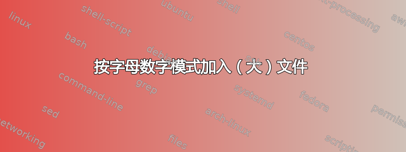 按字母数字模式加入（大）文件