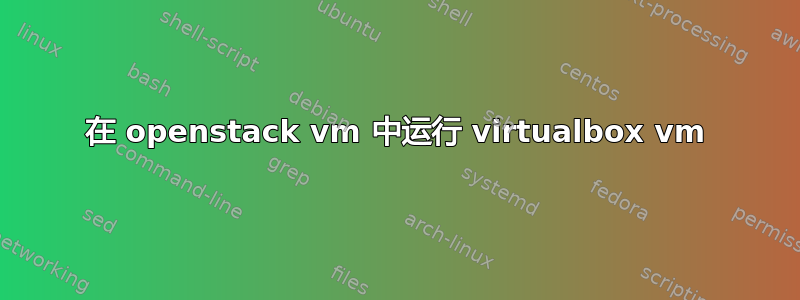 在 openstack vm 中运行 virtualbox vm