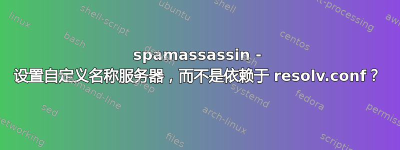 spamassassin - 设置自定义名称服务器，而不是依赖于 resolv.conf？