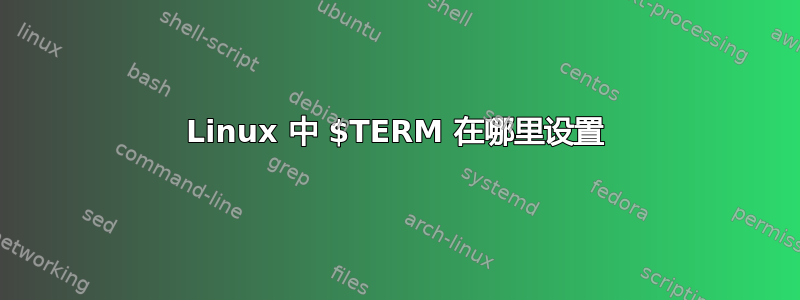 Linux 中 $TERM 在哪里设置