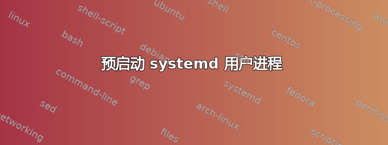 预启动 systemd 用户进程