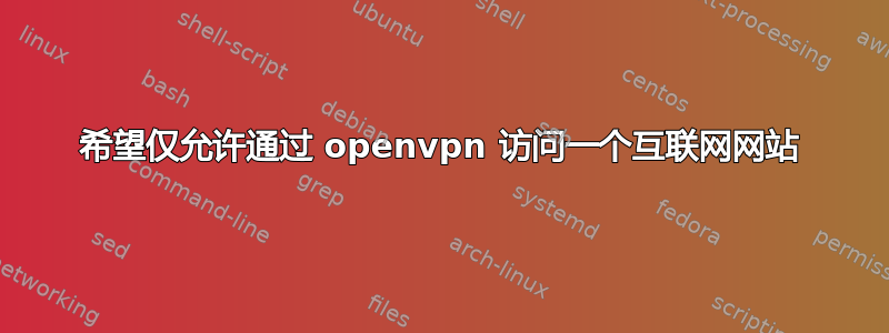 希望仅允许通过 openvpn 访问一个互联网网站