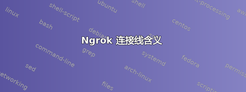 Ngrok 连接线含义