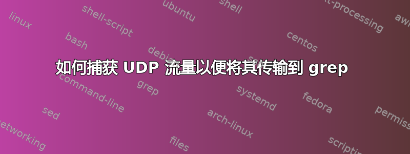 如何捕获 UDP 流量以便将其传输到 grep