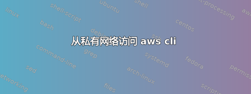 从私有网络访问 aws cli