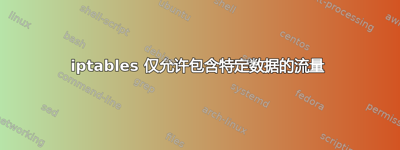 iptables 仅允许包含特定数据的流量