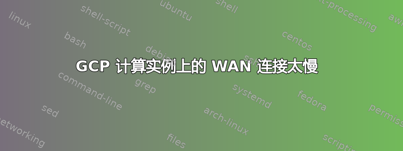 GCP 计算实例上的 WAN 连接太慢 