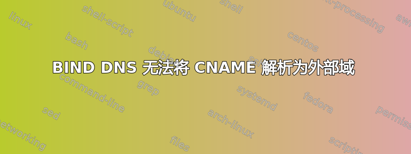 BIND DNS 无法将 CNAME 解析为外部域