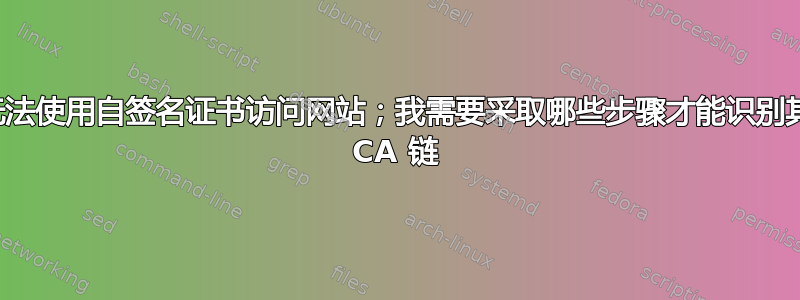 无法使用自签名证书访问网站；我需要采取哪些步骤才能识别其 CA 链