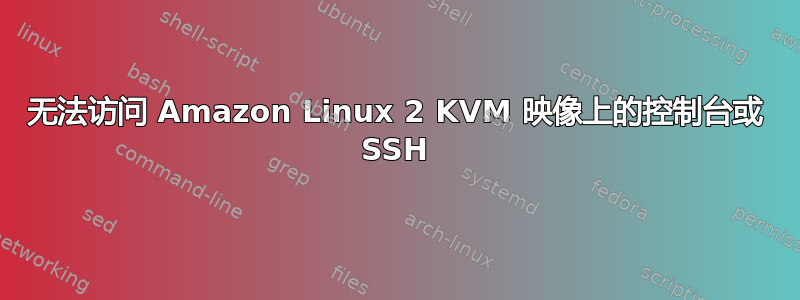 无法访问 Amazon Linux 2 KVM 映像上的控制台或 SSH